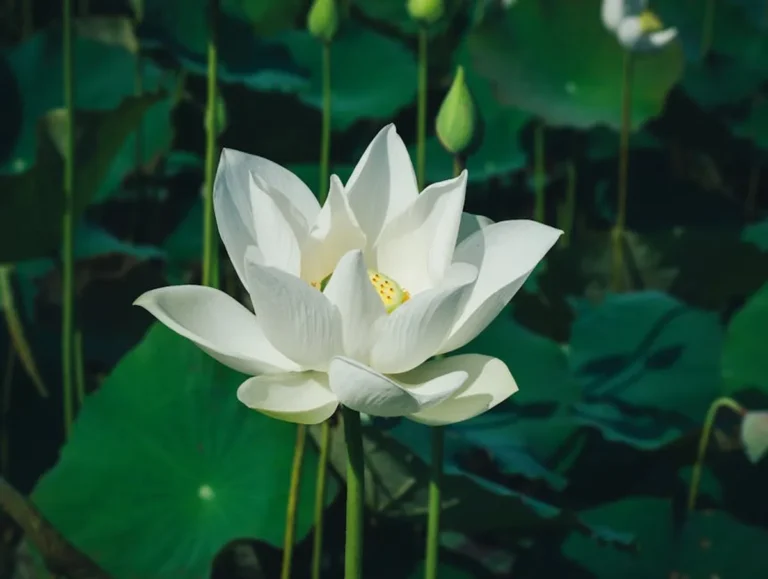 White Lotus Season 4: Bio, Facts, News, and Complete Guide